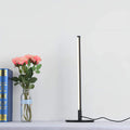 bande-led-longue-lumières-ambiance-lumiero-energie-faible-consommation-decoration-interieure-luminaire
