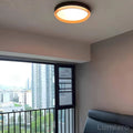 lampe-de-plafond-moderne-lampe-de-chambre-minimaliste