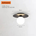 luminousglobe-lampes-de-plafond-en-verre