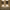 aoralight-lampe-de-nuit-a-intensite-variable-a-brancher