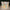 blossom-box-lampe-led-fleurs