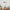 eclatsportif-lampe-de-table-dynamique