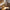 eclatsportif-lampe-de-table-dynamique