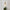 elegante-lampe-suspendue-en-verre-suspension-pour-restaurants
