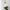elegante-lampe-suspendue-en-verre-suspension-pour-restaurants