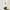 elegante-lampe-suspendue-en-verre-suspension-pour-restaurants