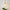 elegante-lampe-suspendue-en-verre-suspension-pour-restaurants
