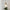 elegante-lampe-suspendue-en-verre-suspension-pour-restaurants