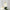elegante-lampe-suspendue-en-verre-suspension-pour-restaurants