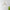 elegante-lampe-suspendue-en-verre-suspension-pour-restaurants