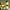 guirlande-lumineuse-G50-decoration-mariage-extérieur-plafond-étanche-Lumiero