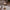 illumia-lampe-de-table-led