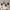 ironglanz-suspension-led-industrielle-en-fer