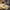 lampe-de-table-elegante-lumiere-chaude