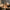 lampe-de-table-moderne-de-salon-luxe-abat-jour-laiton-decorative-lighting-luxury-lamper-lumiero