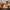 lampe-led-3d-base-en-bois-lumiero-lampe-deco-moderne-éclairage-LED-acrylique-bois-ambiance-salon