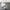 lampe-silencieuse-suspendue-coloree-lampe-de-plafond
