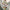 lampe-suspendue-3d-feu-dartifice-en-verre-lampe-de-plafond-moderne-creative