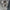 lampes-de-plafond-led-modernes-eclairez-votre-espace-avec-style