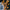 lichtdesign-lampe-suspendue-ronde