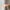 suspension-fleur-colorée-moderne-luminaire-design-abat-jour-verre-lumiero