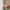suspension-fleur-colorée-moderne-luminaire-design-abat-jour-verre-lumiero