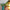 lumihibiscus-lampe-suspendu-vert
