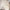 luminaire-moderne-simple-noir-ajustable-eclairage-domicile-LED-Lumiero