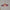 luminousflower-lampe-suspendue-moderne-fleur