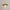 luminousflower-lampe-suspendue-moderne-fleur