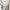 luminousglobe-lampes-de-plafond-en-verre