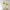 lustre-led-verre-vintage-suspension-modern-lighting-lumiero