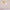 minimalglow-lampe-de-table-led