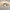 moderne-led-plafonnier-2-anneaux