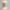 morandi-applique-murale-led
