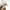 nordicorb-lampe-de-plafond-moderne