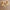 plafonnier-etoile-laiton-andamp-verre