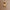 plafonnier-etoile-laiton-andamp-verre