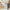 plafonnier-led-moderne-parfait-pour-chaque-piece