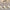 plafonnier-moderne-suspension-led-pour-salle-a-manger