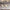 plafonnier-moderne-suspension-led-pour-salle-a-manger