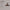 radiantera-lustre-vintage-pour-plafond