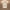 radiantpetals-lampe-de-plafond-avec-motif-floral