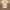 radiantpetals-lampe-de-plafond-avec-motif-floral
