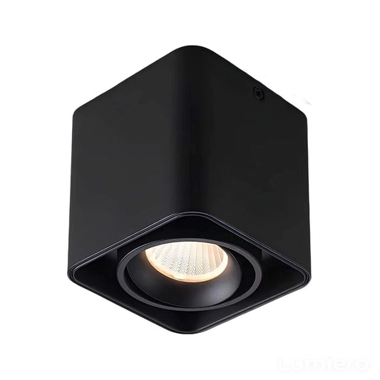 lichtkonig-plafonnier-led-reglable-avec-fonction-de-variation