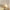romantique-lampe-de-plafond-pour-chambre-inspiration-soleil