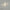 stretchshine-bande-de-lampe-murale-led-longue